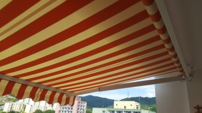 647.jpg